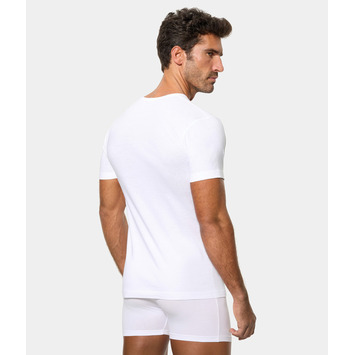 Camiseta hombre M/C pico algodón Abanderado Blanco